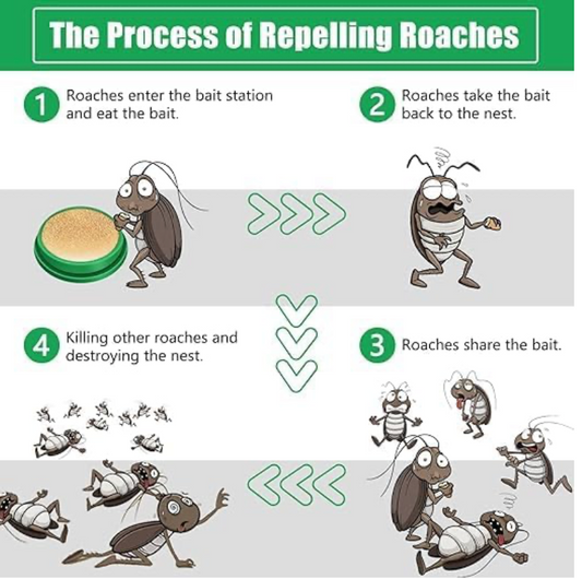 Cockroach Killer Powder Gel (Pack of 24pc)